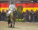 Photo: Stefano Grasso