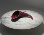 Cornucopia