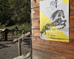 Konjeniški klub Slovenj Gradec