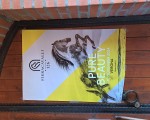 KK Horses for champions - Krapinske Toplice - Croatia