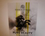 Silverhoof Riding Club