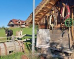 Turistična kmetija Vodlan - Slovenia
