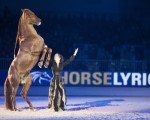 Photo: Stefano Grasso
